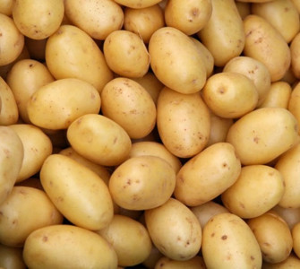 man plans to live only on potatoes for a year