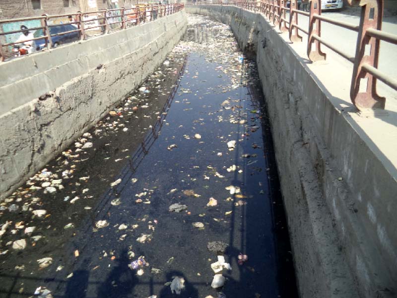city s canals flooded with organic solid waste