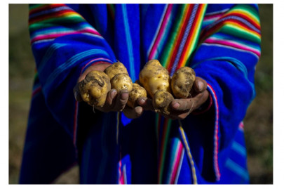 red planet nasa to simulate growing potatoes on mars in peru