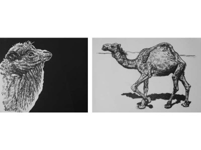 a look back at the creative samina quraeshi