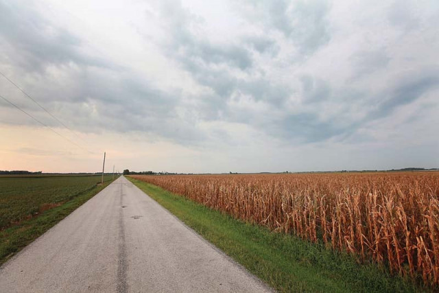 subsidised dap suitable weather new sowing method will help achieve high output photo afp subsidised dap suitable weather new sowing method will help achieve high output photo afp