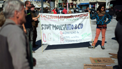 ngos sue monsanto eu food safety watchdog over pesticide