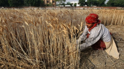 climate change poised to hurt food supplies study climate change poised to hurt food supplies study
