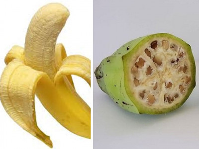 these 7 fruits and vegetables look nothing like they used to before these 7 fruits and vegetables look nothing like they used to before