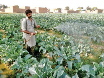 beautiful cities training institute for horticulture needed