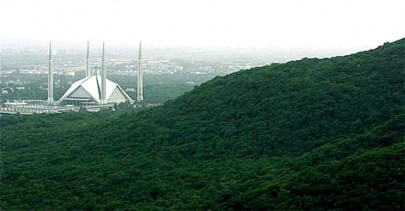 pm gives nod to green pakistan pm gives nod to green pakistan