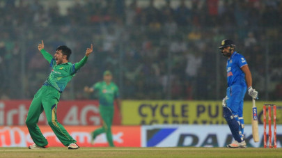 security and cricket security and cricket