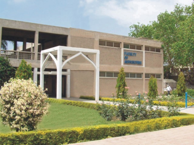 university of agriculture in faisalabad photo uaf edu pk