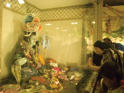 tying the knot hindus in city celebrate shivratri tying the knot hindus in city celebrate shivratri