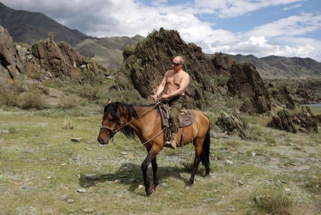 russia 039 s prime minister vladimir putin rides a horse in southern siberia 039 s tuva region august 3 2009 photo reuters