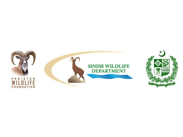 sindh wildlife department logo sindh wildlife department logo