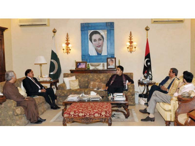 ppp delegation visit bilawal to address in rahim yar khan