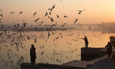 indian guru s festival on delhi floodplain riles greens worries police