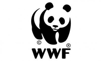 wwf p launches earth hour 2016 in pakistan