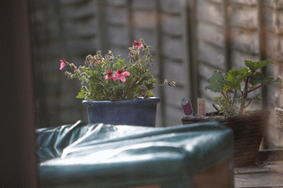 flowerpot bombardement stops turkish man from killing his wife