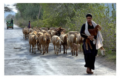 the salt of khewra s earth the salt of khewra s earth