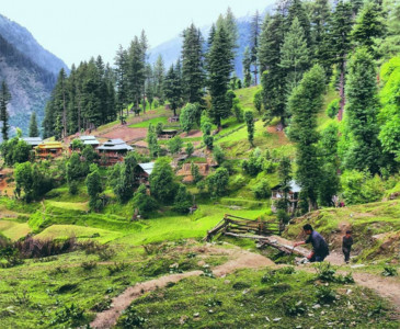 39 pictures bound to make you fall in love with nature