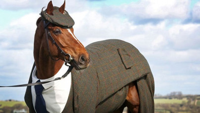 horse dressed in tweed suit ahead of cheltenham festival