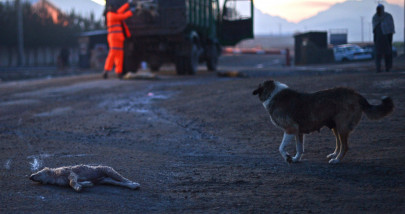 blood on the streets