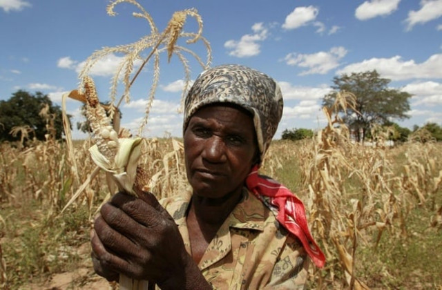 zimbabwe has blamed low farm yields on erratic rains due to climate change as well as crippling western sanctions photo afp zimbabwe has blamed low farm yields on erratic rains due to climate change as well as crippling western sanctions photo afp