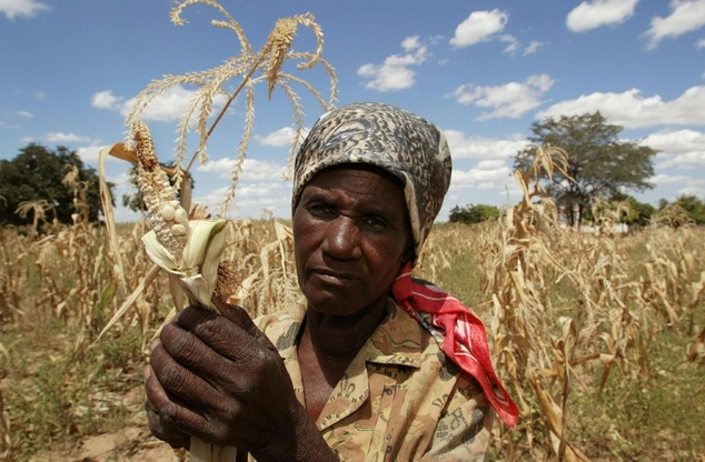 zimbabwe has blamed low farm yields on erratic rains due to climate change as well as crippling western sanctions photo afp