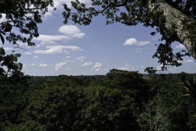 ecuador army plane crash kills all 22 aboard ecuador army plane crash kills all 22 aboard