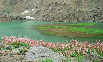 first ever tourism policy for k p launched in changla gali first ever tourism policy for k p launched in changla gali