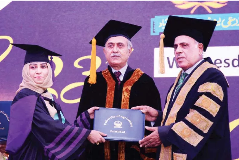 a graduating student receiving her degree from the governor photo online a graduating student receiving her degree from the governor photo online