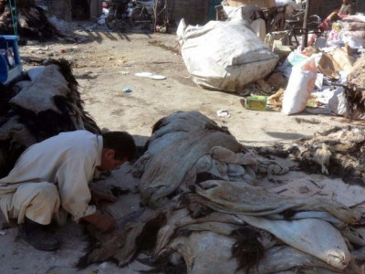environmentally friendly ministry scci to establish sialkot tannery zone environmentally friendly ministry scci to establish sialkot tannery zone