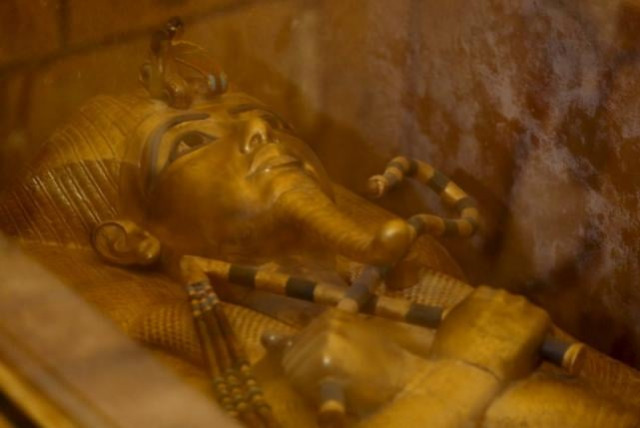 the golden sarcophagus of king tutankhamun in his burial chamber is seen in the valley of the kings in luxor egypt november 28 2015 file photo photo reuters the golden sarcophagus of king tutankhamun in his burial chamber is seen in the valley of the kings in luxor egypt november 28 2015 file photo photo reuters
