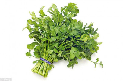 5 foods for instant detox 5 foods for instant detox