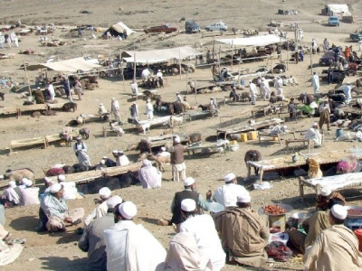 up in arms traders oppose shifting of cattle fare in lakaro up in arms traders oppose shifting of cattle fare in lakaro