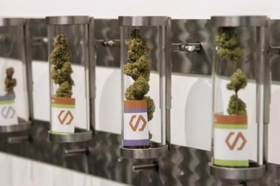 first month oregon pot sales tax receipts far exceed projections