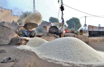 rice exports let the market innovate rice exports let the market innovate