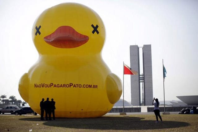 the duck and its brood have also hit the sands of copacabana beach photo reuters the duck and its brood have also hit the sands of copacabana beach photo reuters