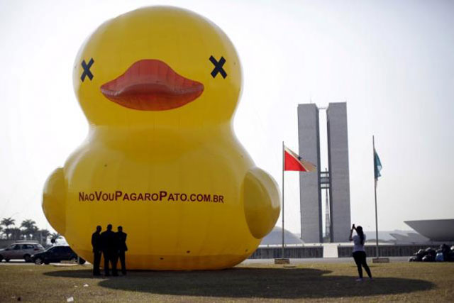 the duck and its brood have also hit the sands of copacabana beach photo reuters