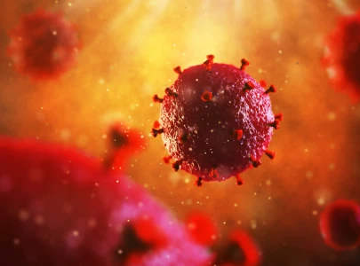 first woman reported cured of hiv after stem cell transplant
