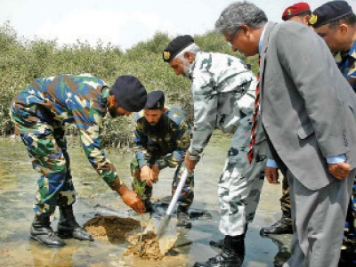 world forest day mangrove plantation drive launched world forest day mangrove plantation drive launched