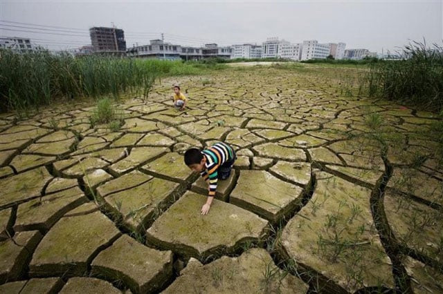photo greenpeace