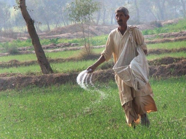 ministry voices doubt on drop in fertiliser prices ministry voices doubt on drop in fertiliser prices
