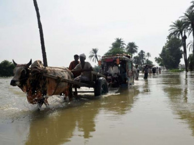 breaches leave 200 villages flooded in badin