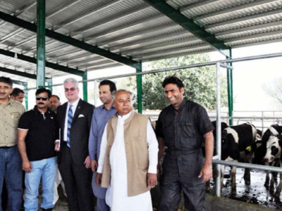 revamping standards first commercial shipment of us cattle arrives