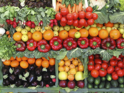 a vegetarian world would be healthier cooler and richer scientists