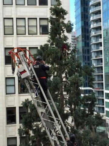 a seattle police officer talks to a man in a tree in seattle washington in this photo provided by the seattle fire department march 23 2016 photo reuters a seattle police officer talks to a man in a tree in seattle washington in this photo provided by the seattle fire department march 23 2016 photo reuters