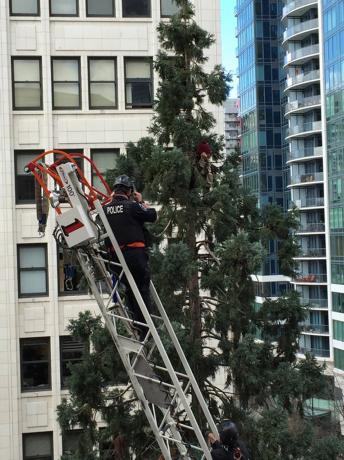 a seattle police officer talks to a man in a tree in seattle washington in this photo provided by the seattle fire department march 23 2016 photo reuters