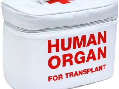 organ donation panel clears bill to amend human organ transplant law