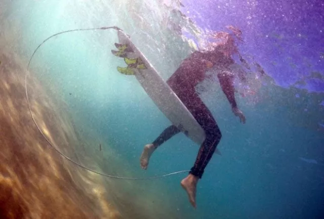 experts say attacks are increasing as water sports become more popular and bait fish move closer to shore but fatalities remain rare photo reuters experts say attacks are increasing as water sports become more popular and bait fish move closer to shore but fatalities remain rare photo reuters
