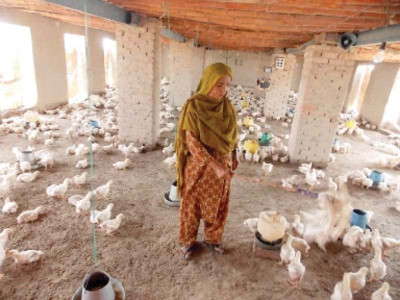 let s turn our large population into a blessing