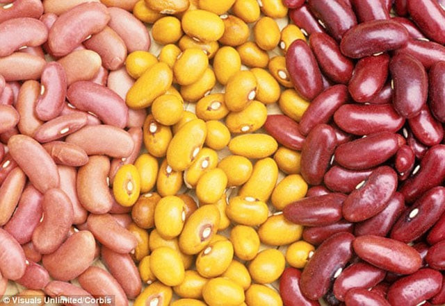 govt plans to sow lentils for self sufficiency