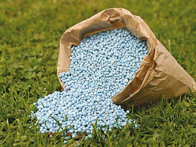 Urea sales jump 148% to 649,000 tons in January - Vimarsana News